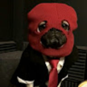 Meet your Posher, Sebastian
